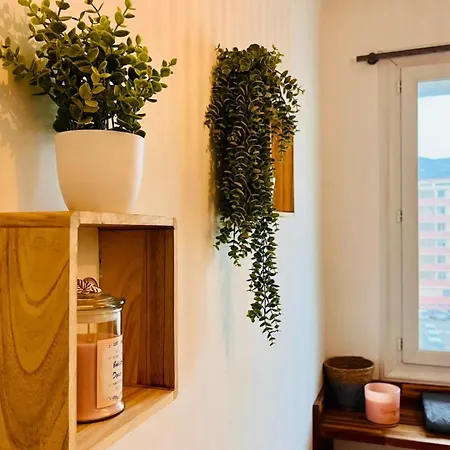 Apartament Louisa - Ac Close To The Sea - By Tgb Ajaccio (Corsica)